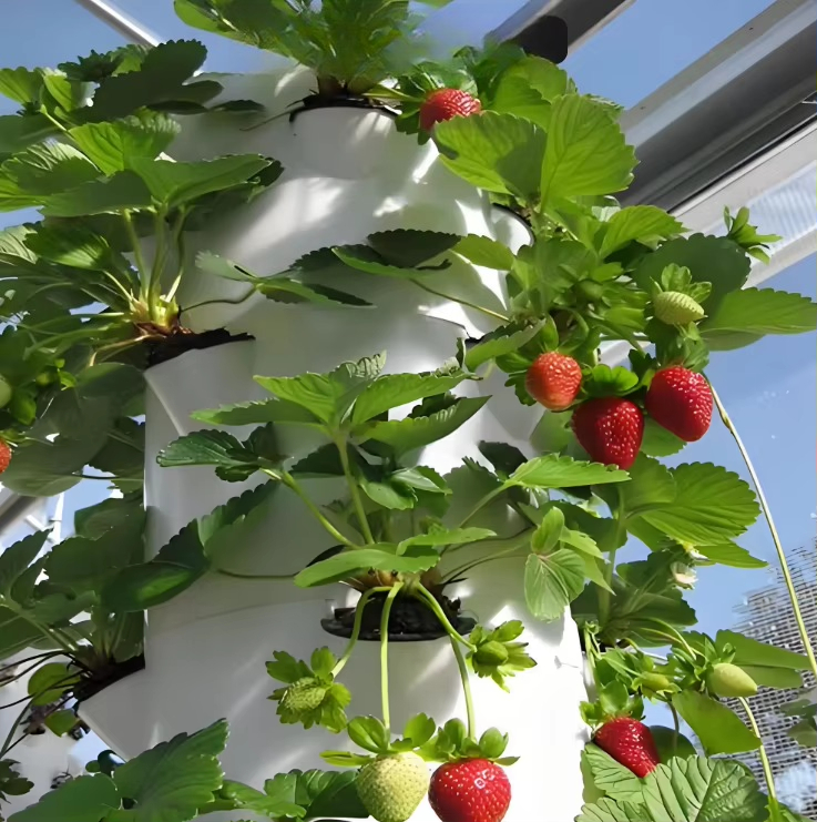 Modular hydroponic growth wall - Urban Farming Wall 评论和价格