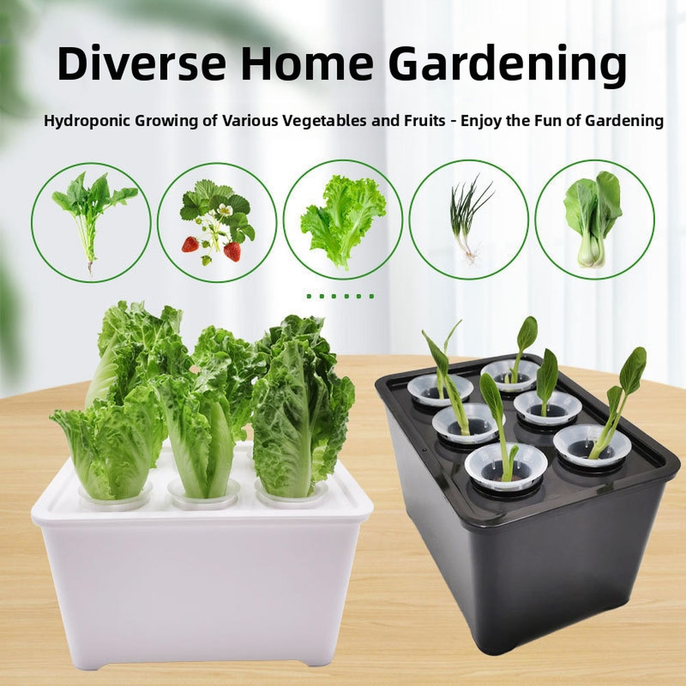 White black Plant Growth Bucke - Urban Farming Usa 评论和价格